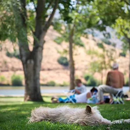Casa Da Avo - Turismo De Habitacao ゲストハウス トーレ・デ・モンコルヴォ