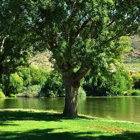Casa Da Avo - Turismo De Habitacao