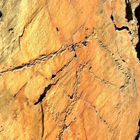 Casa Da Avo - Turismo De Habitacao トーレ・デ・モンコルヴォ