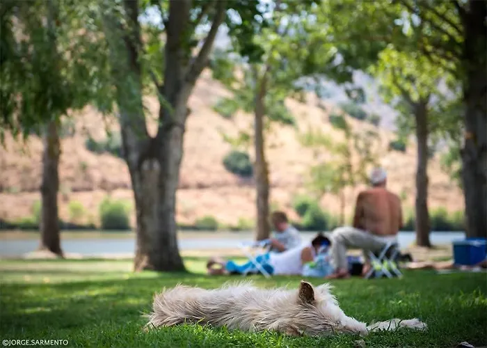 Casa Da Avo - Turismo De Habitacao Casa de hóspedes Torre De Moncorvo