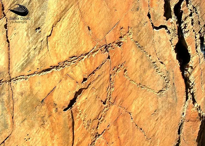 Casa Da Avo - Turismo De Habitacao Torre de Moncorvo